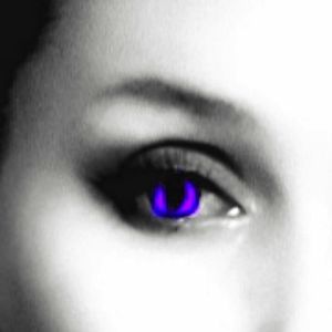 Meet your Posher, Miss Purple